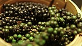 Black and green peppercorns