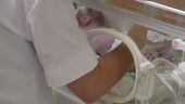 Nurse with a baby in intensive care