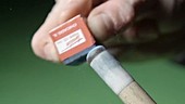 Chalking a snooker cue, slow motion