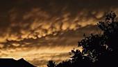 Mammatus clouds in the sky