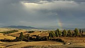 Rainbow over Tuscan landscape