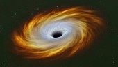 Supernova forming a black hole