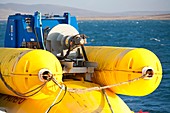 Wave energy generator