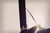 A child on a swing photographed from below (detail)