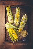Grilled corn on the cob with spiced butter