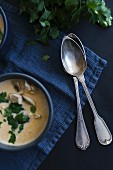 Vintage spoons and mushroom soup