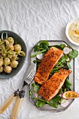 Grilled salmon steaks with passion fruit Hollandaise sauce