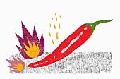 Eine rote Chilischote (Illustration)
