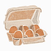 Six brown eggs in an egg box (illustration)