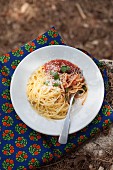 Spaghetti with tomato sauce, Parmesan and basil