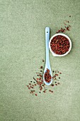Szechuan pepper in a bowl and on a porcelain spoon