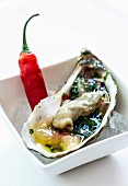 A ready-to-eat oyster on ice