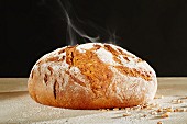 Sour dough bread