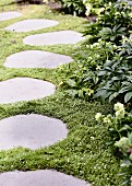 Gartenweg aus eingewachsenen Trittplatten