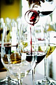 A wine tasting session: red wine being poured into a glass