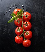 Fresh tomatoes and a leaf on a black baking tray