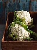 Cauliflower