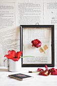 Red tulip in black picture frame on wall papered with book pages