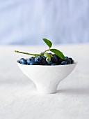 A bowl of blueberries with a leaf