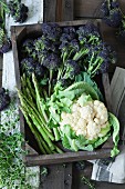 Purple broccoli, cauliflower, thyme and asparagus in a wooden crate