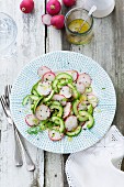 Radish and cucumber salad with deer and mustard seed, lemon and olive oil dressing