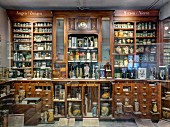 Senckenbergmuseum: specimens in jars, Frankfurt am Main