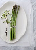 A bundle of asparagus and apple blossom on a serving platter (seen from above)