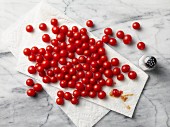 Cherry tomatoes on kitchen paper with a salt shaker