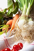 An arrangement of vegetables featuring spring onions, carrots, tomatoes and lettuce