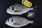 Two seabream with salt and lemon slices on a black wooden surface (ingredients for seabream in a salt crust)