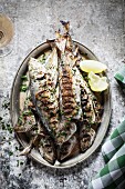 Grilled sardines with parsley