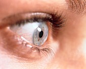Close-up of a woman's healthy blue eye