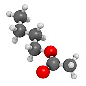 Butyl acetate molecule