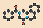 Praziquantel anthelmintic drug molecule