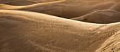 Sand dunes in Sahara Desert