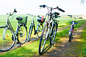 Bicycles on country track