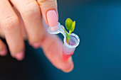 Eppendorf tube with a leaf