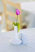 Pink tulip in white vase