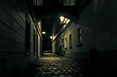 Cobbled street at night