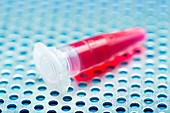 Eppendorf tube with blood sample
