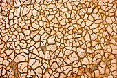 Patterns on cracked earth