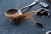 Cocoa powder on a spoon next to dried chilli peppers