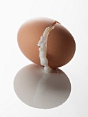 A split boiled egg