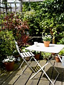 White garden furniture and potted plants on secluded terrace surrounded by climbing plants