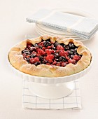 Crostatina with fruits of the forest