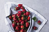 Fresh strawberries on a white cloth (seen from above)