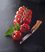 Kleine Paprikatomaten an der Rispe mit Tomatenblatt