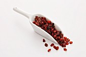 Dried barberries on a small scoop