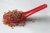 Red rice on a ceramic spoon