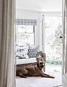 Dog on carpet runner in front of cozy wicker sofa and open patio door